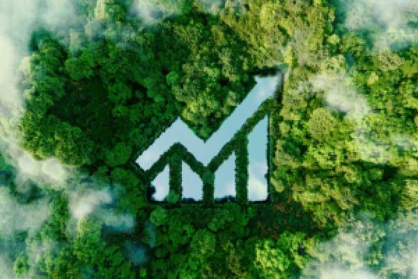 俄乌冲突下的外汇避险货币